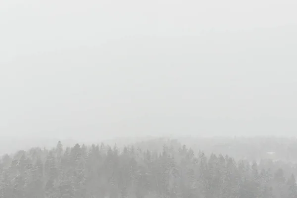 Neve coberto paisagem de inverno durante a queda de neve — Fotografia de Stock