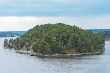İsveçli adalar o çam ağaçları ile kaplı küçük bir ada