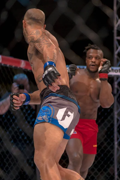 MMA lutte pour le titre entre Papy Abedi et Dylan Andrews à Superior — Photo