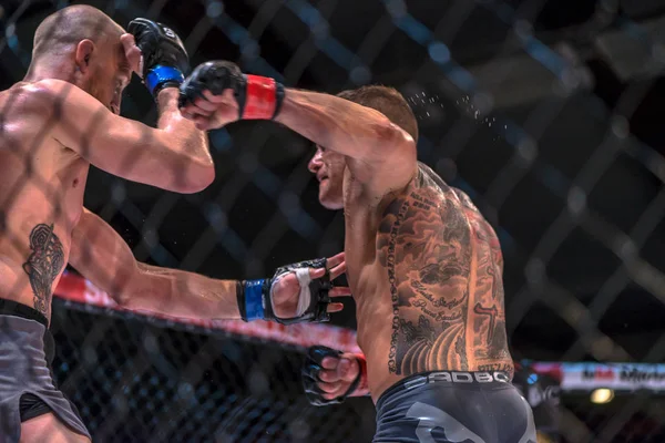 MMA luta pelo título entre David Bielkheden vs Morten Djursaa no Su — Fotografia de Stock