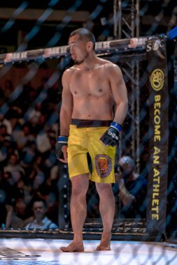 Mma mücadele arada Simon Skold vs Juntaro Ami tanıtımı