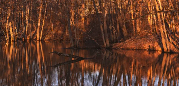 Marais ou petit lac avec des reflets aux couleurs chaudes et vives pendant les heures de printemps et de soirée — Photo