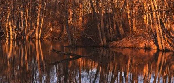 Swamp or small lake with reflections in warm vivid colors during spring and evening hours — Stock Photo, Image