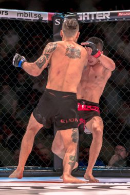 MMA mücadele Thomas Hytten vs Fernando Flores çift c arasında