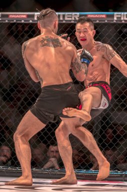 MMA mücadele Thomas Hytten vs Fernando Flores çift c arasında