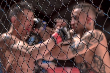 MMA mücadele Thomas Hytten vs Fernando Flores çift c arasında