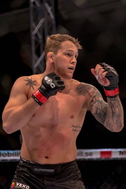 MMA mücadele Zvonimir Kralj vs Marthin Hamlet çift c arasında