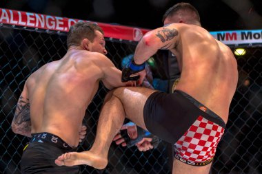 MMA mücadele Zvonimir Kralj vs Marthin Hamlet çift c arasında