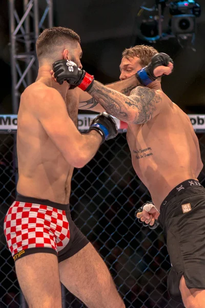 MMA mücadele Zvonimir Kralj vs Marthin Hamlet çift c arasında