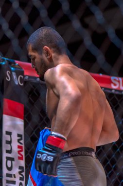 Arada Dilmurud Movlonov vs Kaspars Peregudovs Sup, MMA mücadele