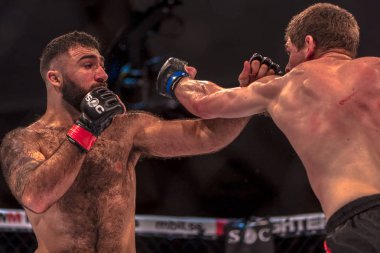 MMA mücadele arasında çift Challenge 15 Eriksdalshallen içinde