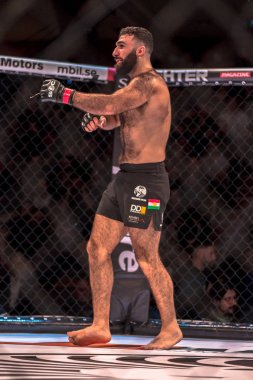 MMA mücadele arasında çift Challenge 15 Eriksdalshallen içinde