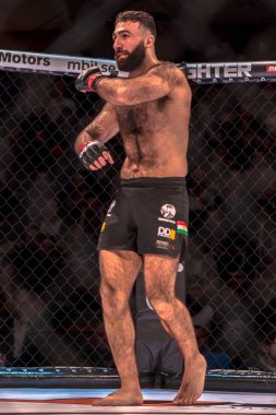 MMA mücadele arasında çift Challenge 15 Eriksdalshallen içinde