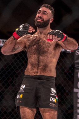 MMA mücadele arasında çift Challenge 15 Eriksdalshallen içinde