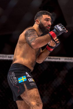 MMA mücadele arasında çift Challenge 15 Eriksdalshallen içinde