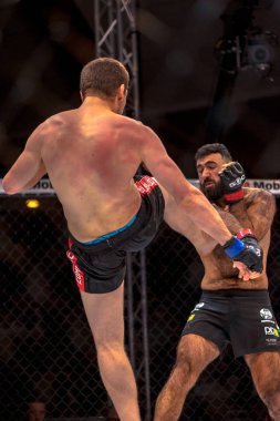 MMA mücadele arasında çift Challenge 15 Eriksdalshallen içinde