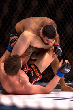 MMA mücadele arasında çift Challenge 15 Eriksdalshallen içinde