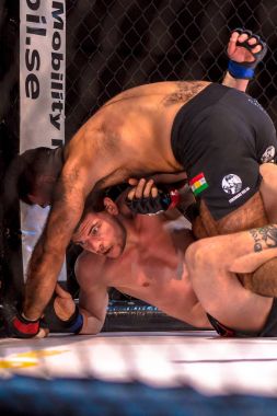 MMA mücadele arasında çift Challenge 15 Eriksdalshallen içinde