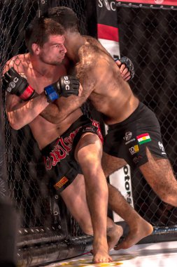 MMA mücadele arasında çift Challenge 15 Eriksdalshallen içinde