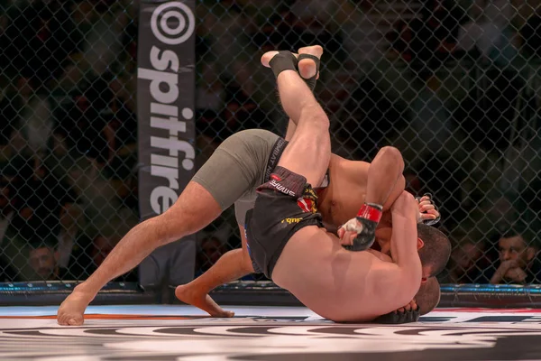Arada Dilmurud Movlonov vs Kaspars Peregudovs Sup, MMA mücadele