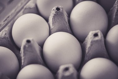 Bir karton kutu içinde yumurta closeup