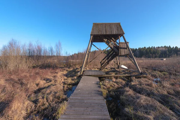 Tower for bird watching over a wetland during spring — Stock Photo, Image