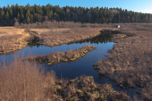 Zones humides avec une cabane pour l'observation des oiseaux dans les zones humides — Photo