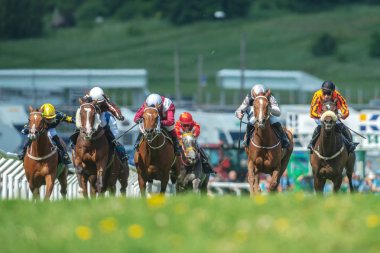 Satır jockeys düz Hızlı at atların Natio hızda