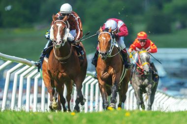 Jockeys hızlı eğrideki dışarı atlar Nationaldagsg hızda