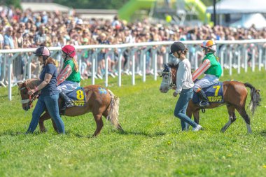 Midilli yarışı Nationaldagsgaloppen, kasadaki atlar 