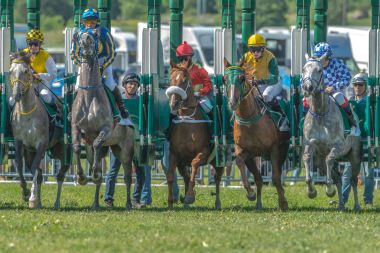 Hızlı atlar ve binicileri, Nationaldagsgalop sırası başlamadan