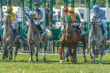 Hızlı atlar ve binicileri, Nationaldagsgalop sırası başlamadan