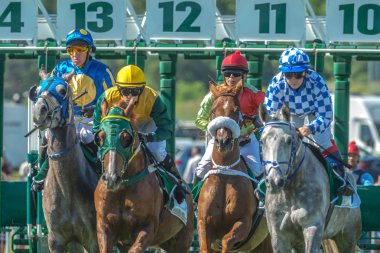 Hızlı atlar ve binicileri, Nationaldagsgalop sırası başlamadan