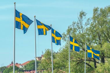 Nationaldagsgaloppen Gardet'i adlı İsveçli bayraklar