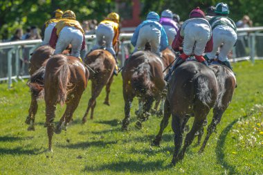 Jockeys hızlı eğrideki dışarı atlar arka Natio hızda