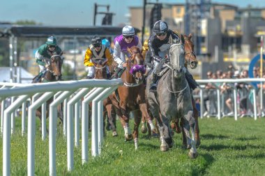 Jockeys hızlı eğrideki dışarı atlar Nationaldagsg hızda