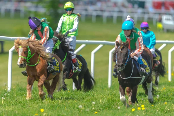 Ponys racing v plné rychlosti na Gardet — Stock fotografie