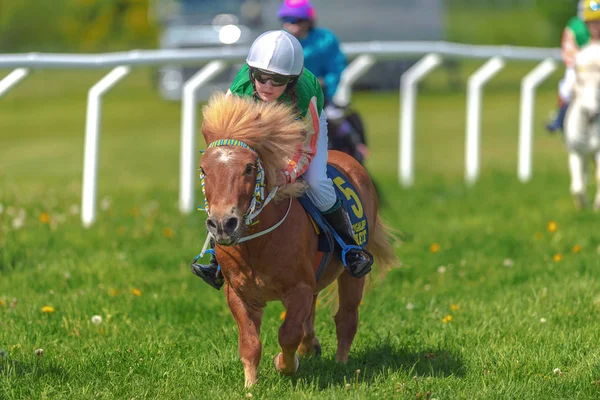 Ponys racing at full speed at Gardet — Stock Photo, Image