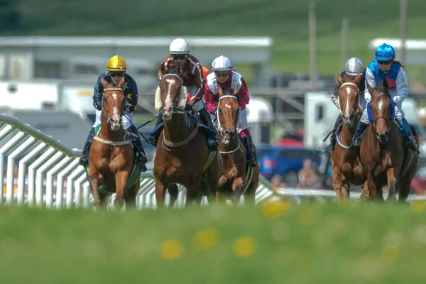 Jockeys hızlı eğrideki dışarı atlar Nationaldagsg hızda — Stok fotoğraf