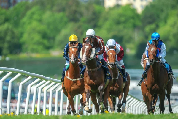 Jockeys hızlı eğrideki dışarı atlar Nationaldagsg hızda — Stok fotoğraf