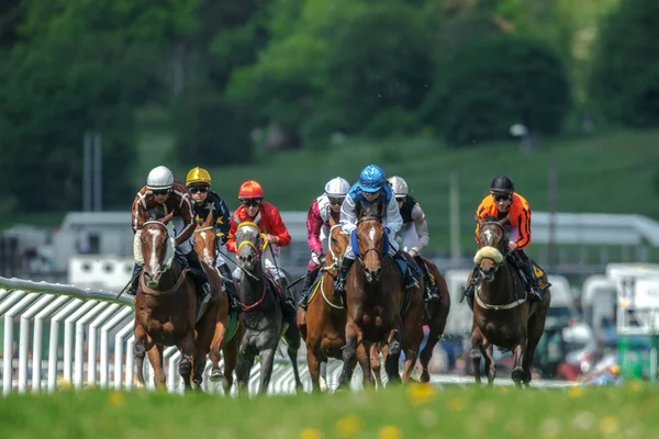 Rij van paarden met jockeys op het rechte stuk in snel tempo Natio — Stockfoto
