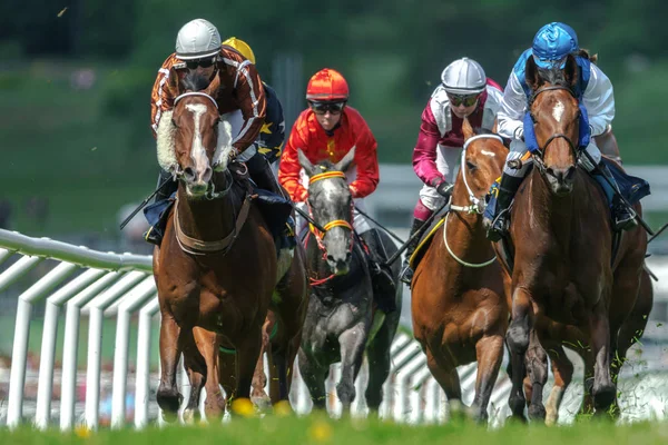 Рядок коней з жокеїв в прямі у швидко темп на ж — стокове фото