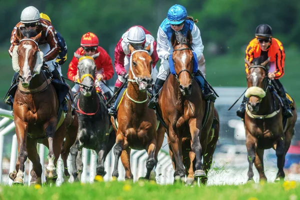 Fila de cavalos com jóqueis em linha reta em ritmo rápido em Natio — Fotografia de Stock