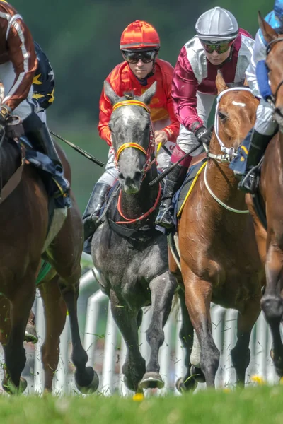 Koně s žokeji mimo křivku v rychlém tempu, na Nationaldagsg — Stock fotografie