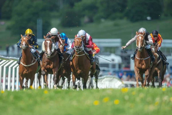 Row of horses with jockeys at the straight in fast pace at Natio — Stock Photo, Image