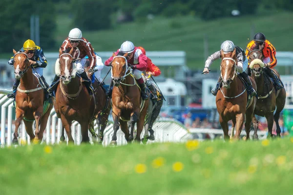 Row of horses with jockeys at the straight in fast pace at Natio — Stock Photo, Image