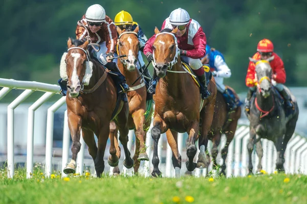 Row of horses with jockeys at the straight in fast pace at Natio — Stock Photo, Image