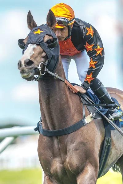 Closeup of a jockey on a racehorse in fast pace at Nationaldagsg — Stock Photo, Image