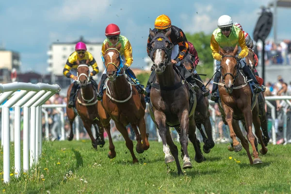 Horses with jockeys out of a curve in fast pace at Nationaldagsg — Stock Photo, Image