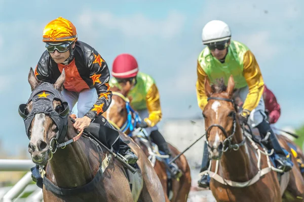 Horses with jockeys out of a curve in fast pace at Nationaldagsg — Stock Photo, Image